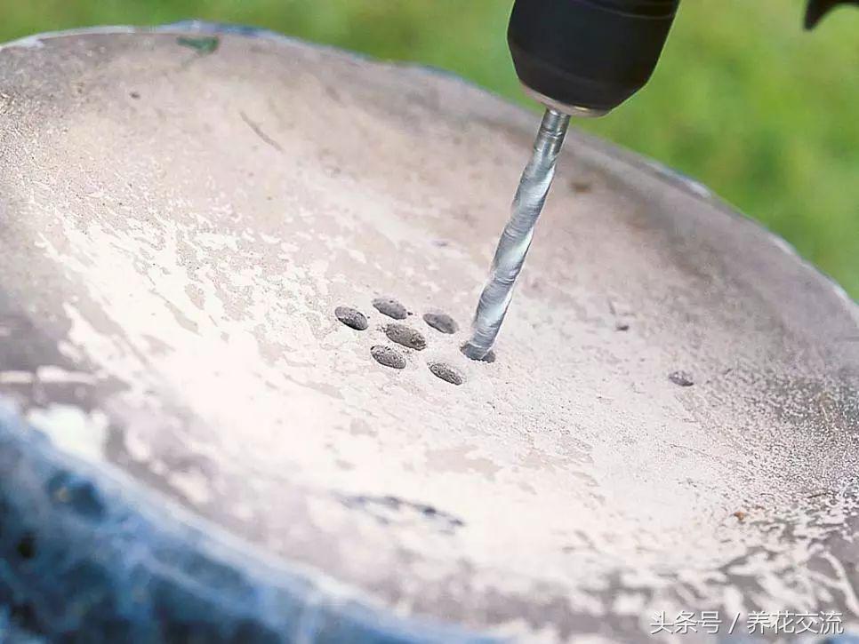 盆栽植物养护技术,如何养好盆栽植物教学计划