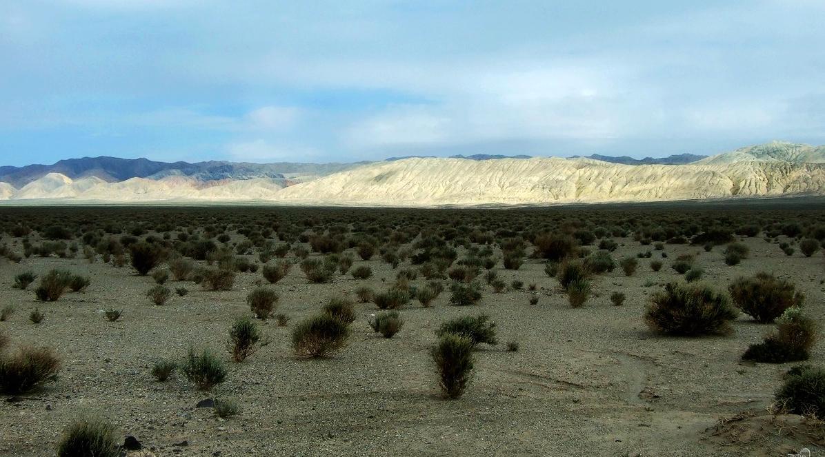 新疆罗布泊旅游攻略,新疆若羌探险