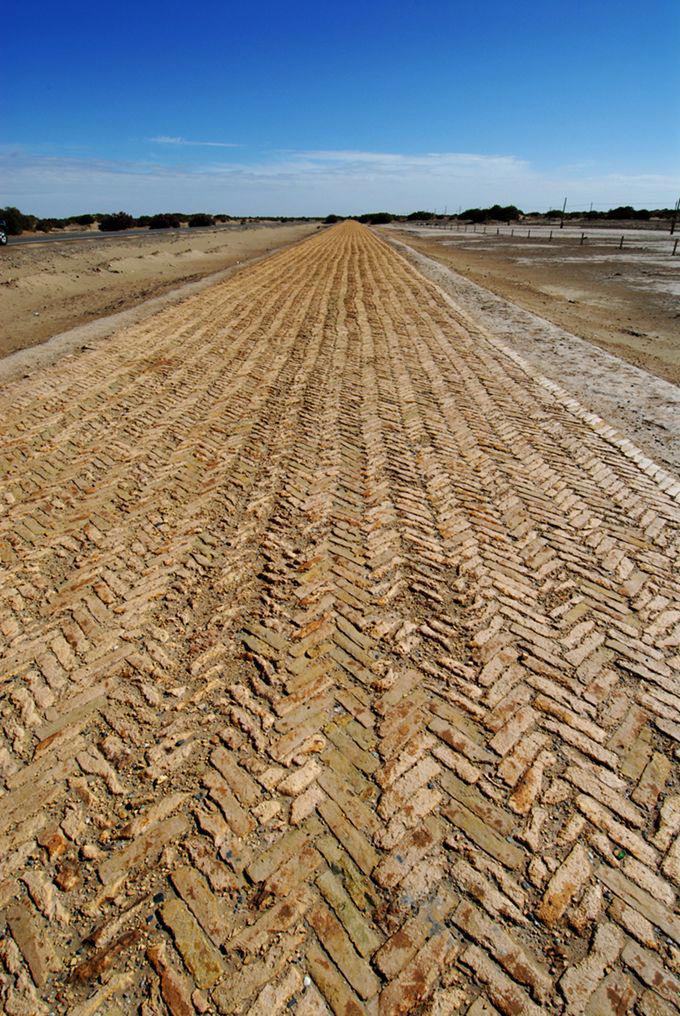 新疆罗布泊旅游攻略,新疆若羌探险
