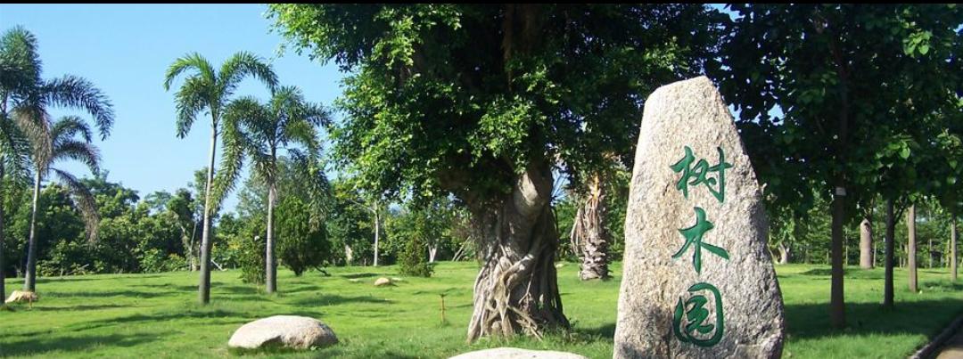 欢迎来到茂名一座充满活力的城市,茂名成为全国十大宜居之城