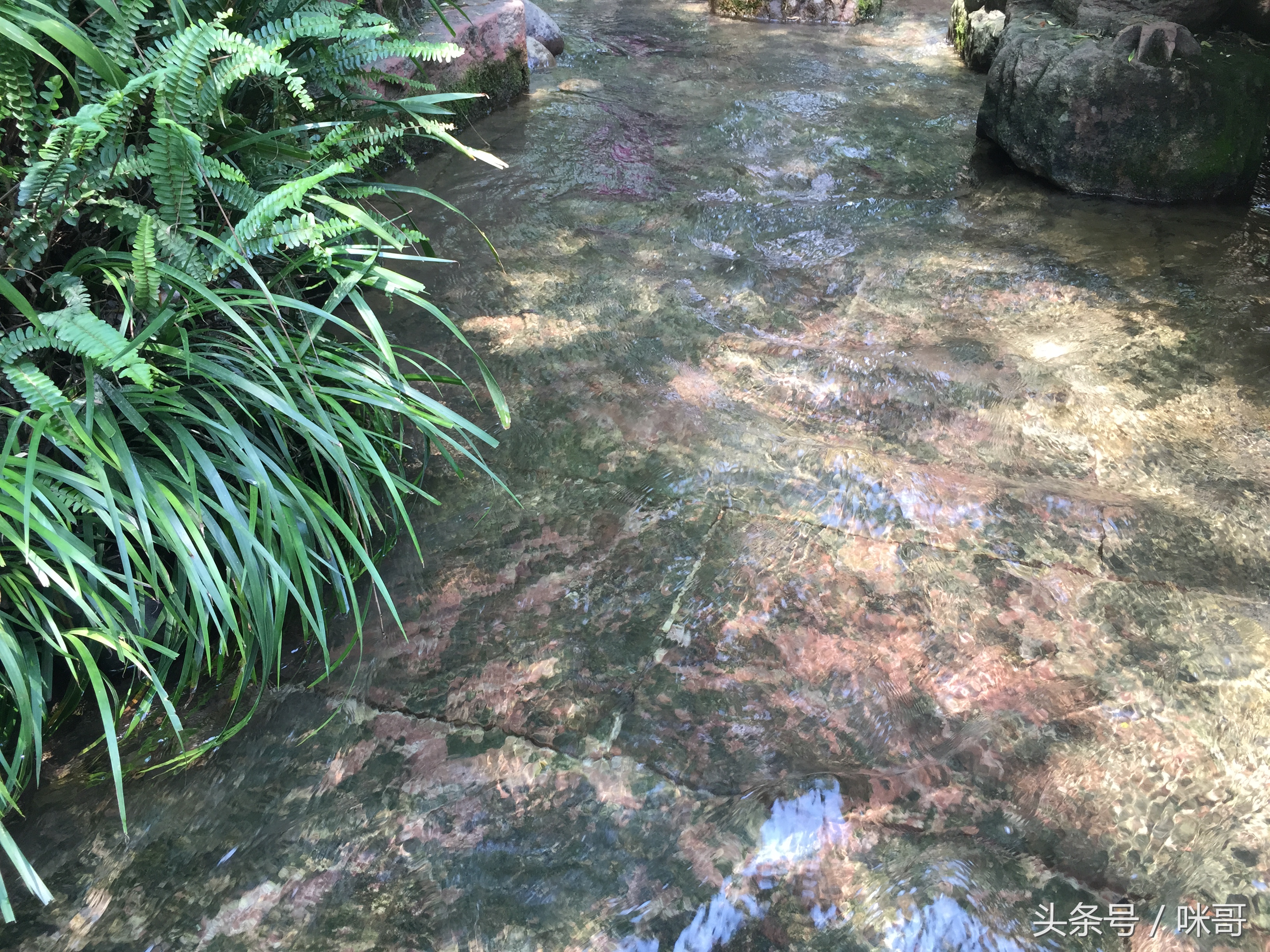 成都黄龙溪古镇包吃住,成都到黄龙溪古镇旅游攻略