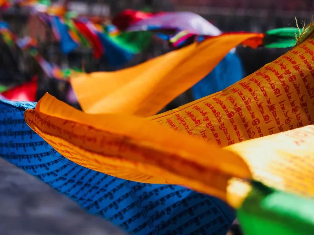 川藏高速公路北线与川藏南线,川藏南线与北线哪个路况更好