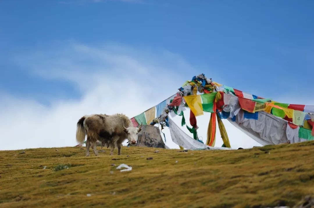 川藏高速公路北线与川藏南线,川藏南线与北线哪个路况更好