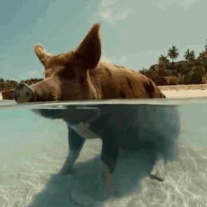 最值得去的海边,最值得去的海岛度假