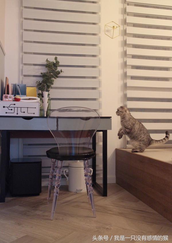 小户型装修设计案例效果图 (小户型怎么装修才能显得空间更大)