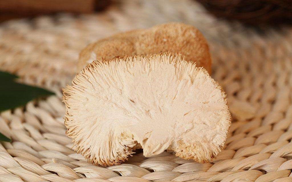 最天然最罕见的最美味的野生菌,最美味极其罕见的野生菌