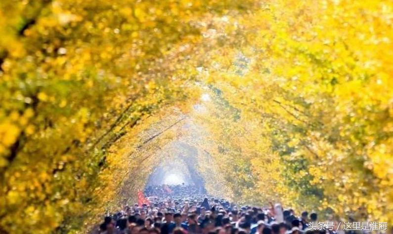 看徐州景点,淮海地区第一县城邳州