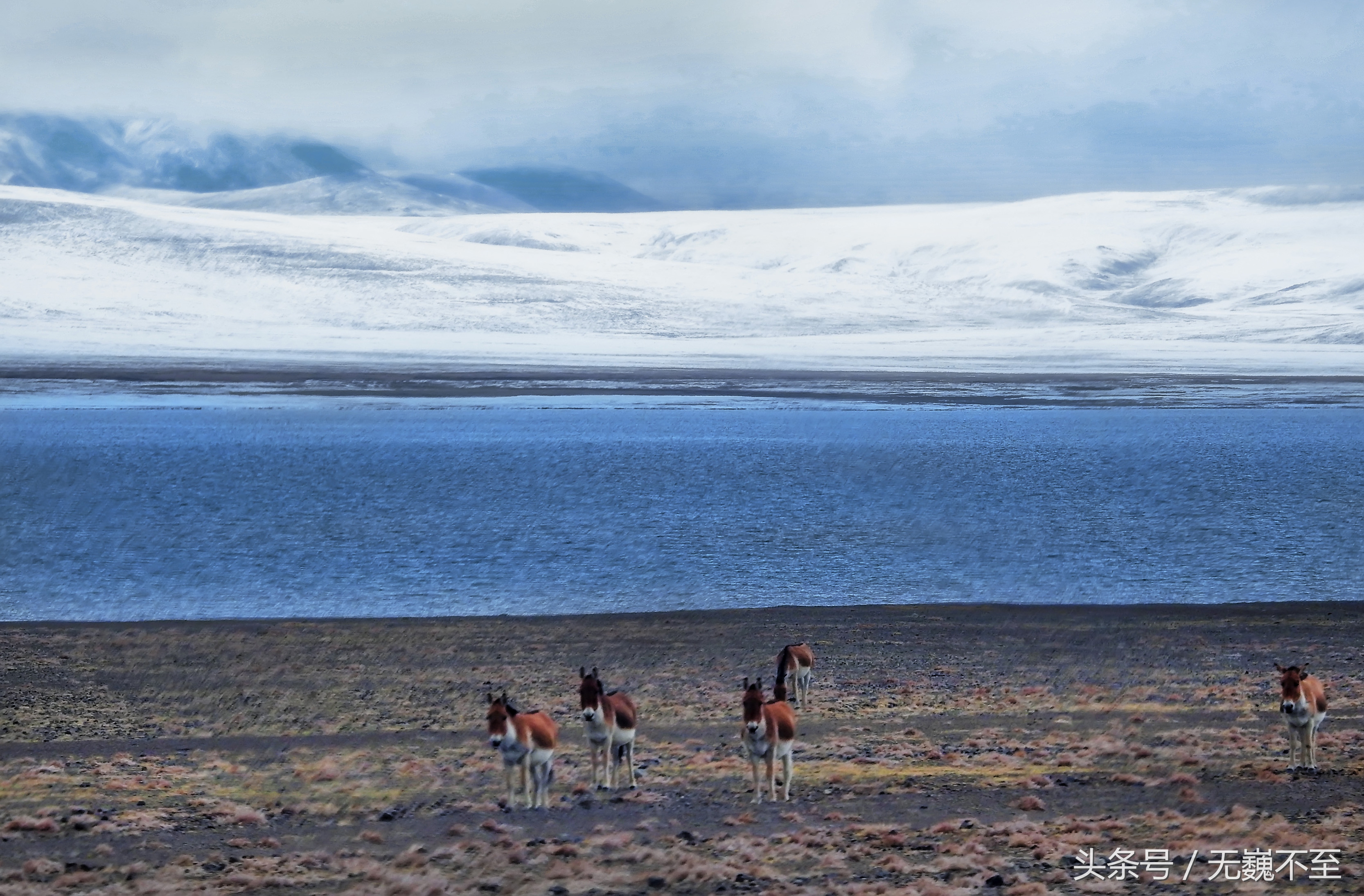 四姑娘山海拔最高的垭口,攀登四姑娘山三峰海拔多少