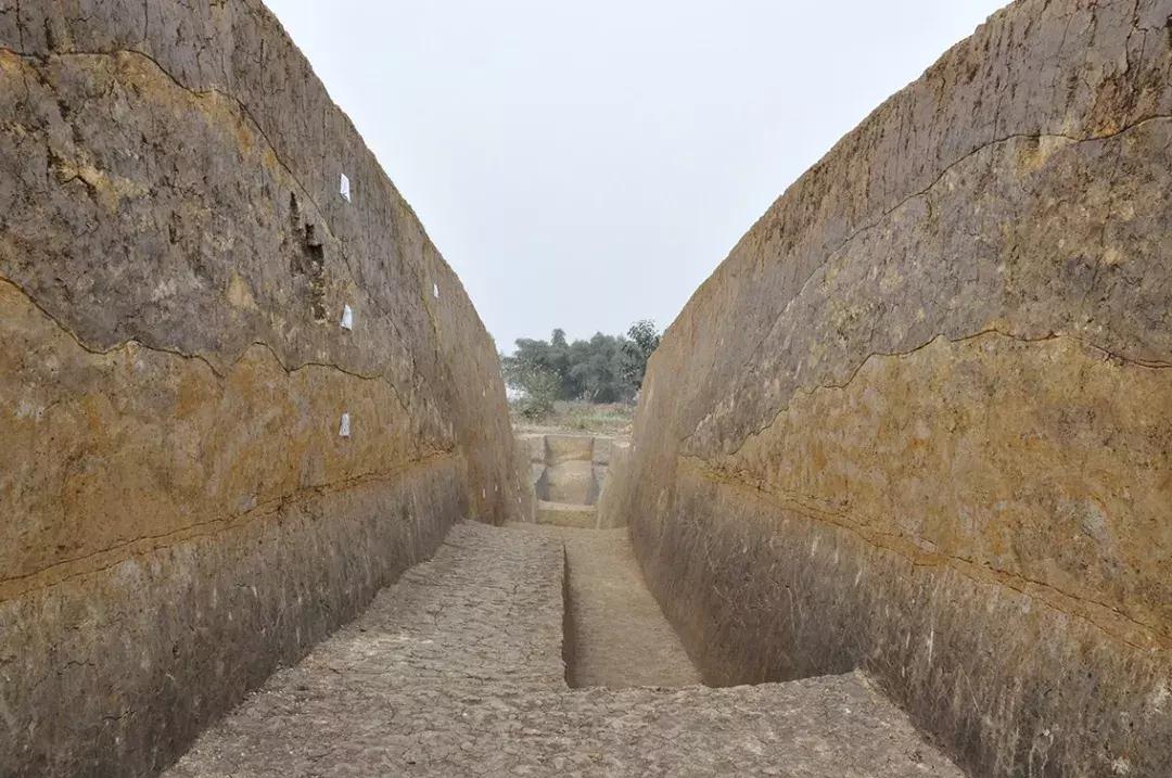 成都考古之谜视频,成都考古40年