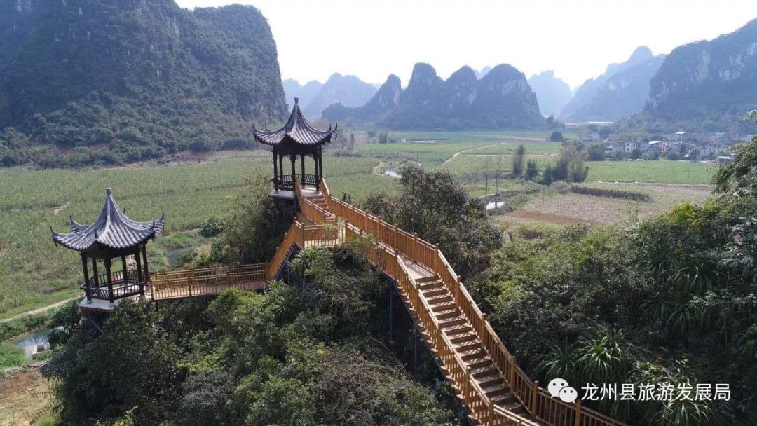 来上犹我养你高清图片,来武平我养你