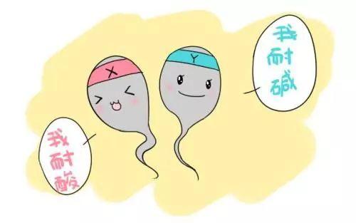 为了提前知道怀的是男宝还是女宝,真的是用尽毕生绝学!