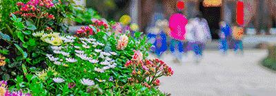 庐山美庐在哪里,庐山美庐别墅在哪个景区