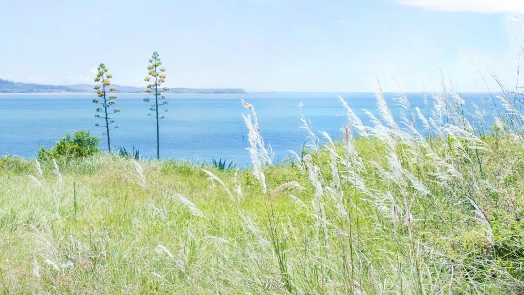 小众旅行火山岛,火山岛值得去的地方