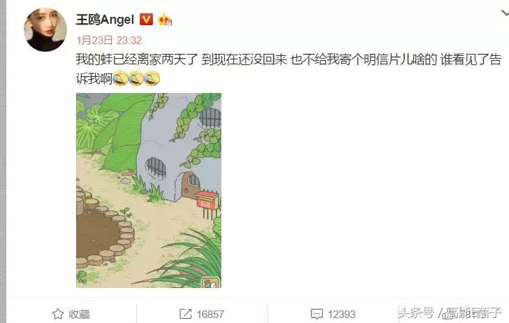 王鸥涨粉,王鸥最近怎么样了