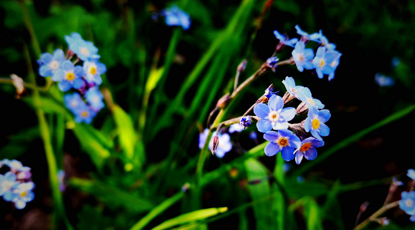 天华山-秦岭梁，又一条风景秀美的一日劲走线路