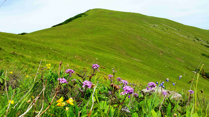 天华山-秦岭梁，又一条风景秀美的一日劲走线路