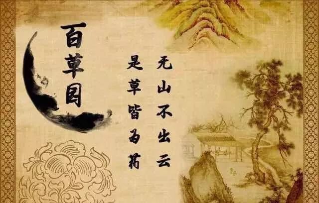 「百草园」那些“悬壶济世”的植物(七十三)苦参