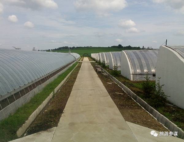 家有美景来欣赏何必外出看风景,家有美景何必远方