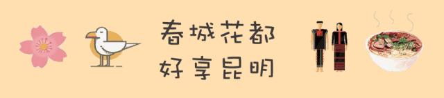 昆明市区名胜古迹,昆明双塔名胜古迹