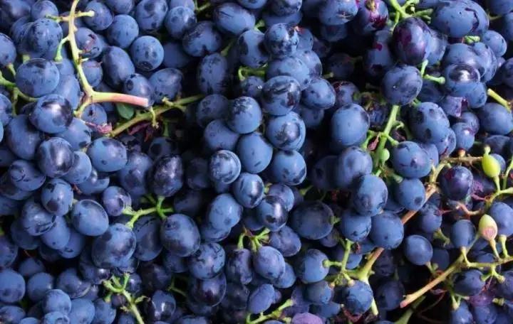 怀化又有3个特产被国家保护