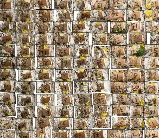 汶川感人催人泪下的事,汶川令人瞬间泪下的故事