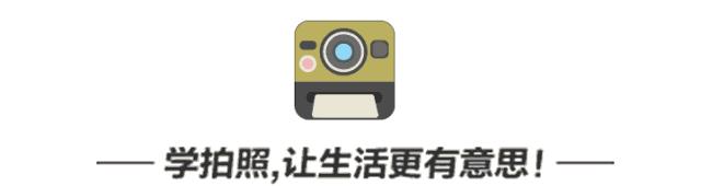 哈苏相机拍立得拍照体验,哈苏x2d100c相机实拍样片欣赏