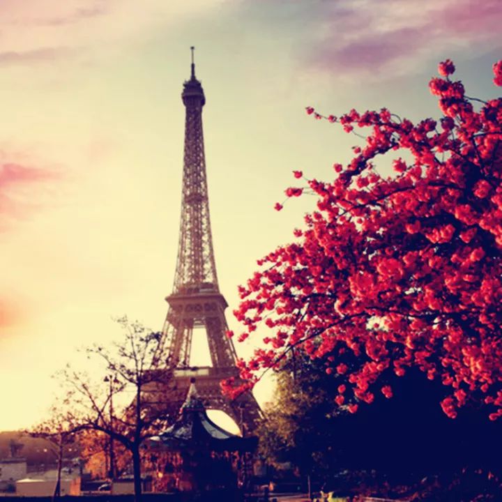 上半年大片推荐,2018旅行大片