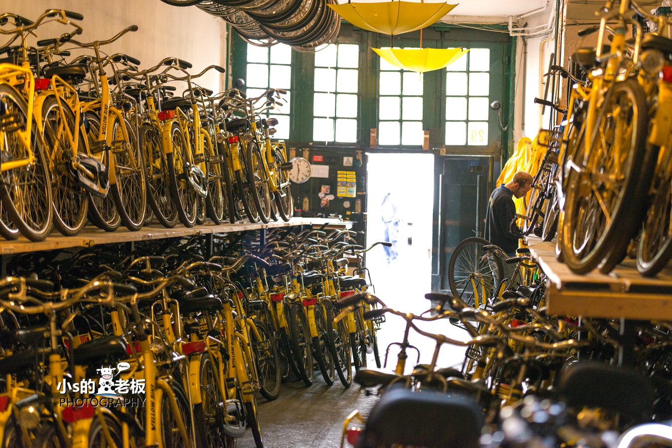 2018荷兰花海,荷兰郁金香自驾游攻略