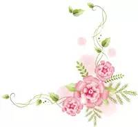 有关女性盆底康复的书籍,女性盆底康复科普讲座题目