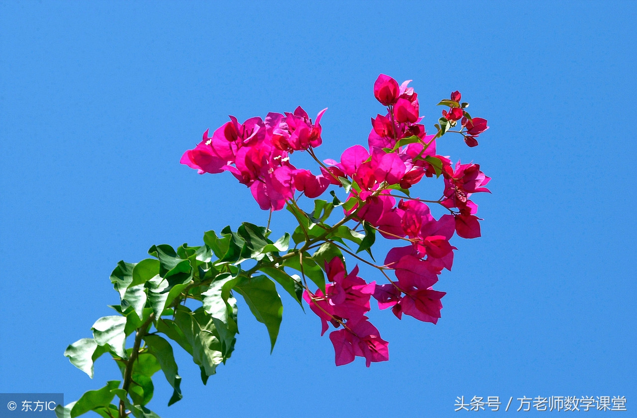 孩子即将中考父母怎么做,孩子中考妈妈对孩子应该做什么