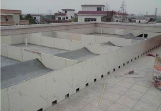 家里想养龟镇宅养什么龟好,庭院养龟的最佳位置