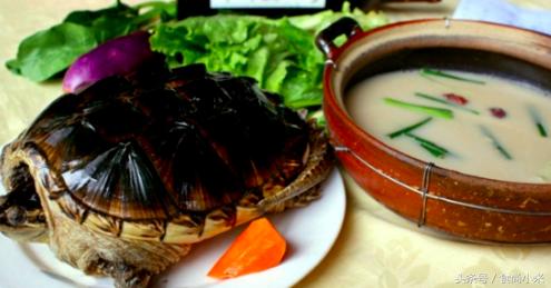 杭州男子钓10斤重鱼,浙江杭州男子钓到近70斤重大鱼