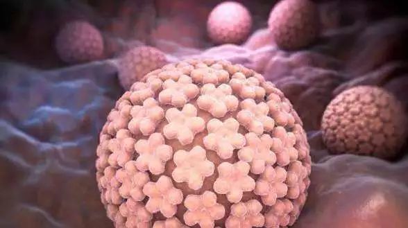 hpv九价疫苗三针注射时间,hpv九价疫苗注射年龄期限