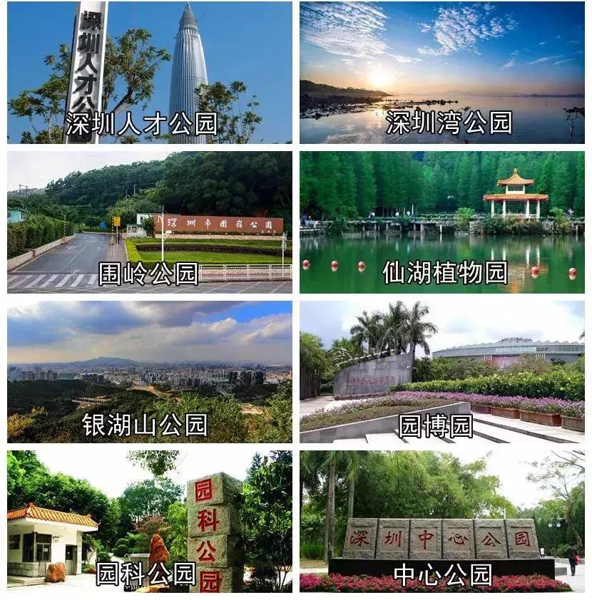 今天深圳有什么新的消息吗,深圳城市改名叫什么