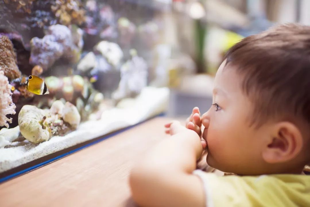 成绩差怎么办？智商不够怎么补？靠好奇心