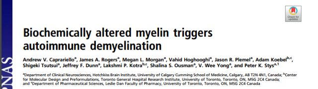 ms免疫疾病是什么,免疫系统的知识讲解