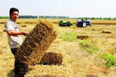 如何申报国家农业政策性补贴,补贴政策2022年农业补贴怎么申领