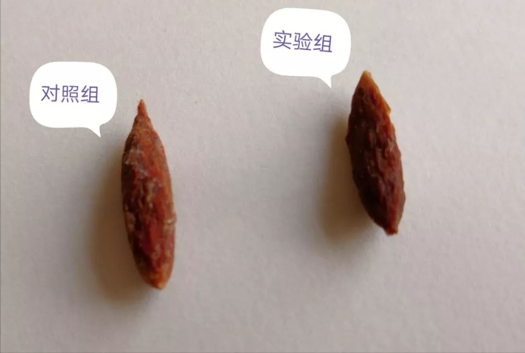 协和医生误吞一枚枣核，处理方式笑喷网友，全程“内心戏”，哈哈哈哈……