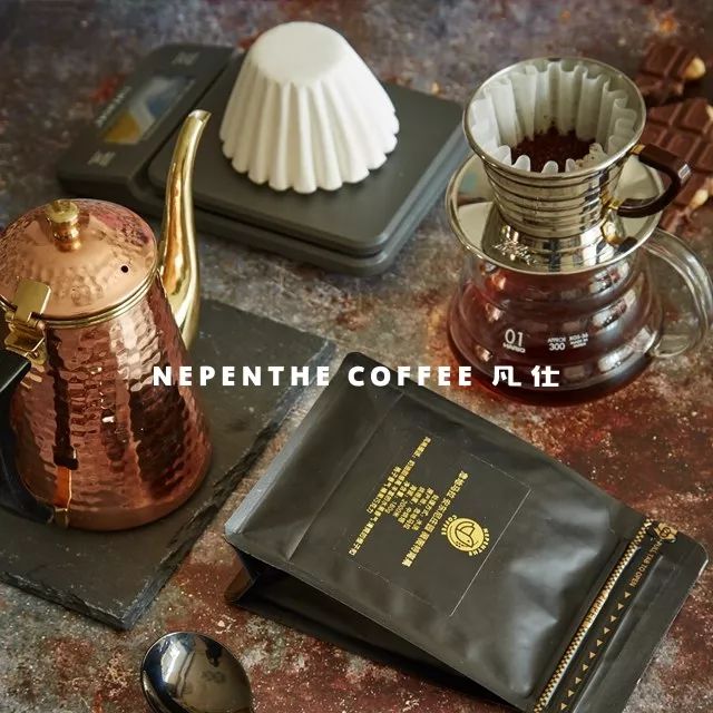 20岁咖啡小鲜肉告诉你一款薇薇特南果还可以这样玩｜凡仕