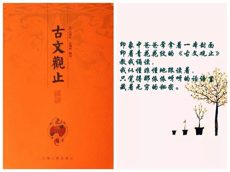 五本书养成读书好习惯,家庭必备五本书