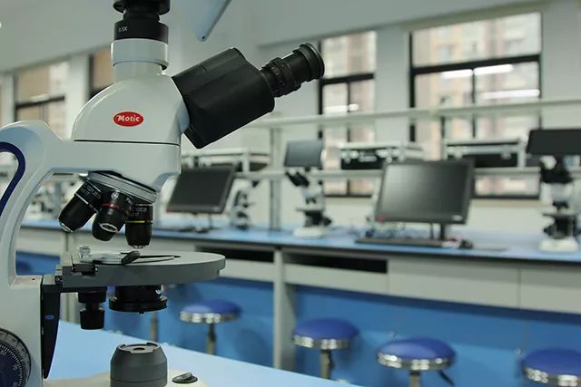 “校长在线”来了，快为闻涛中学男神校长打call~