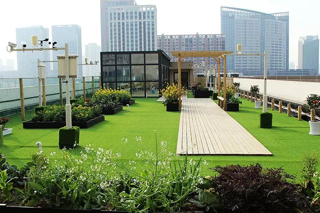 “校长在线”来了，快为闻涛中学男神校长打call~