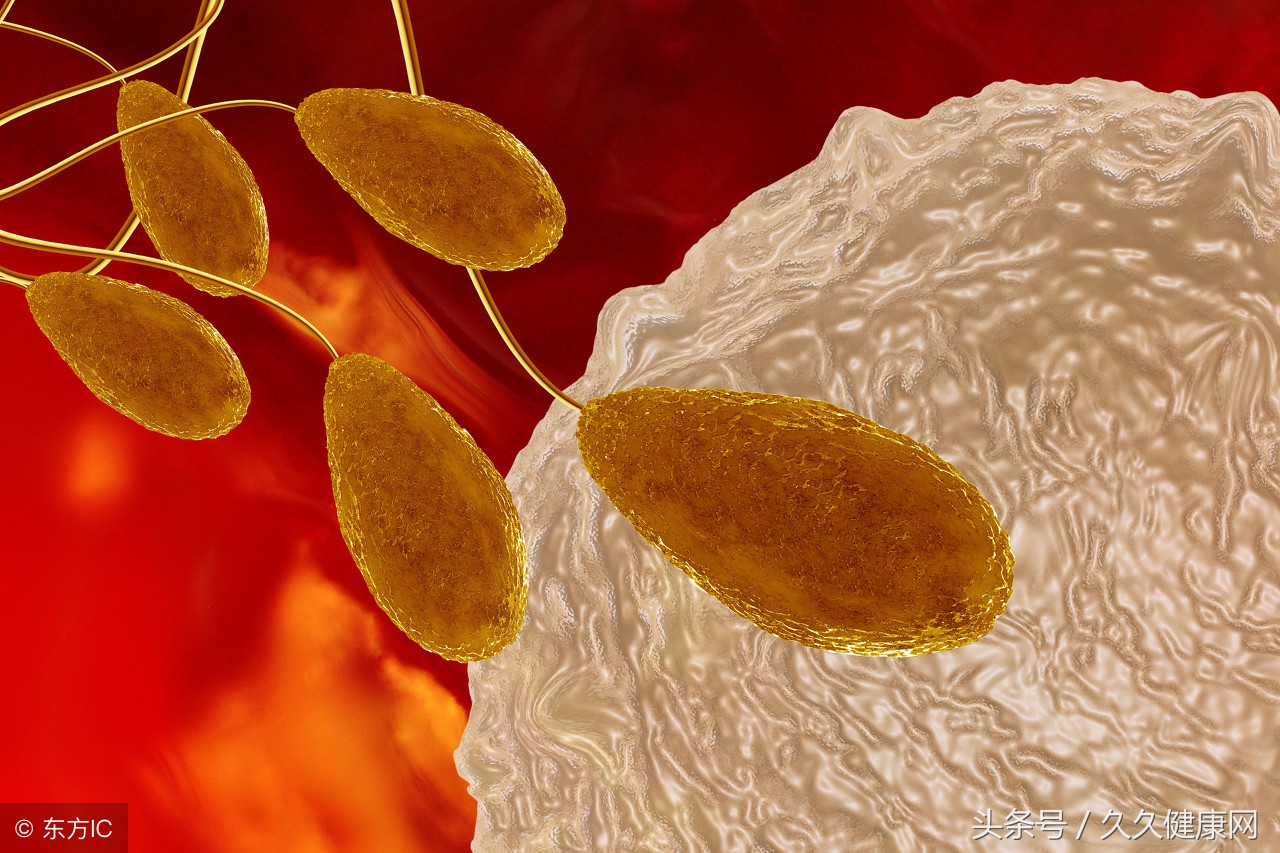 精子数量6个能受孕吗,备孕不一定一次就中吗