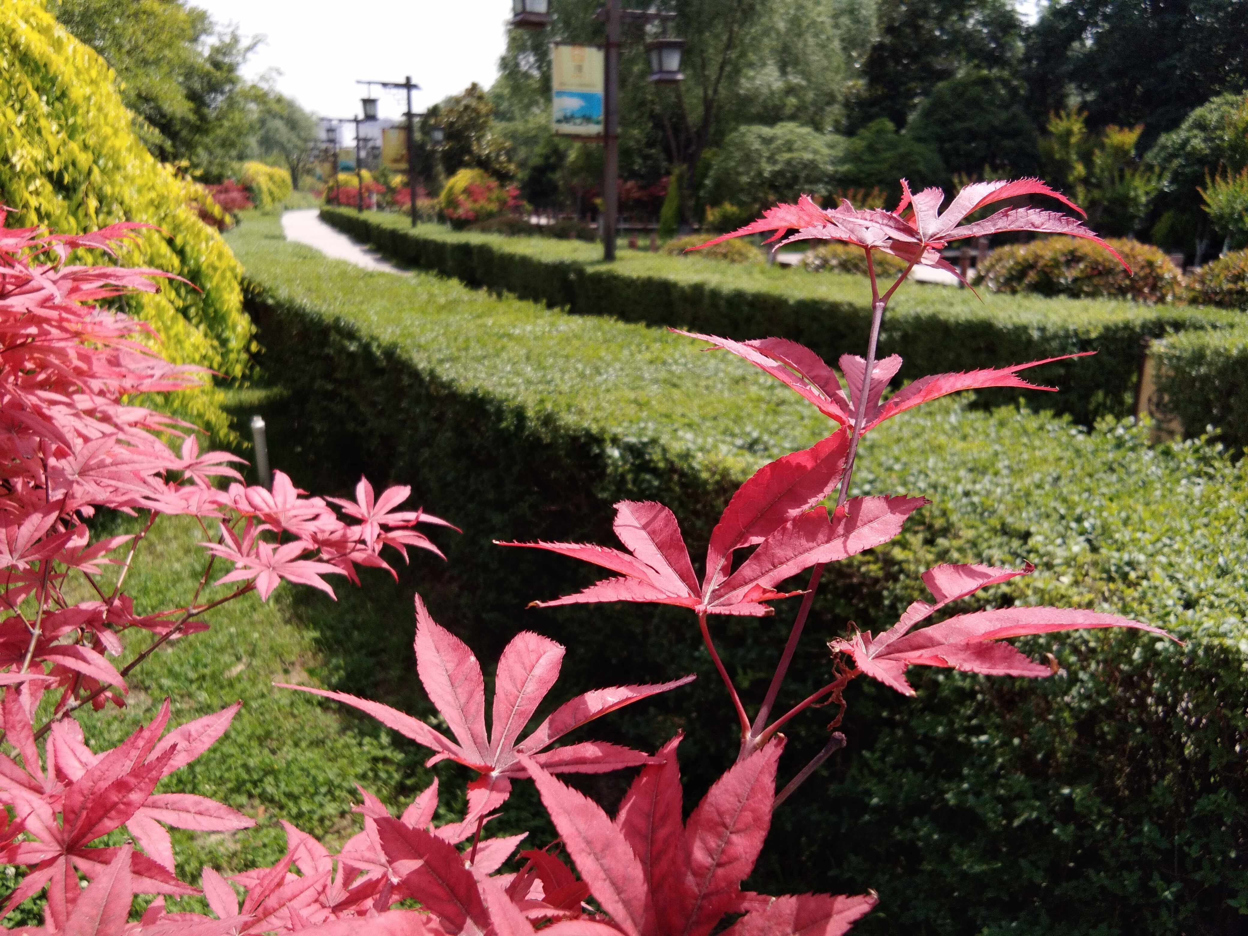 脚踏汉城湖公园全程!感受汉武辉煌!