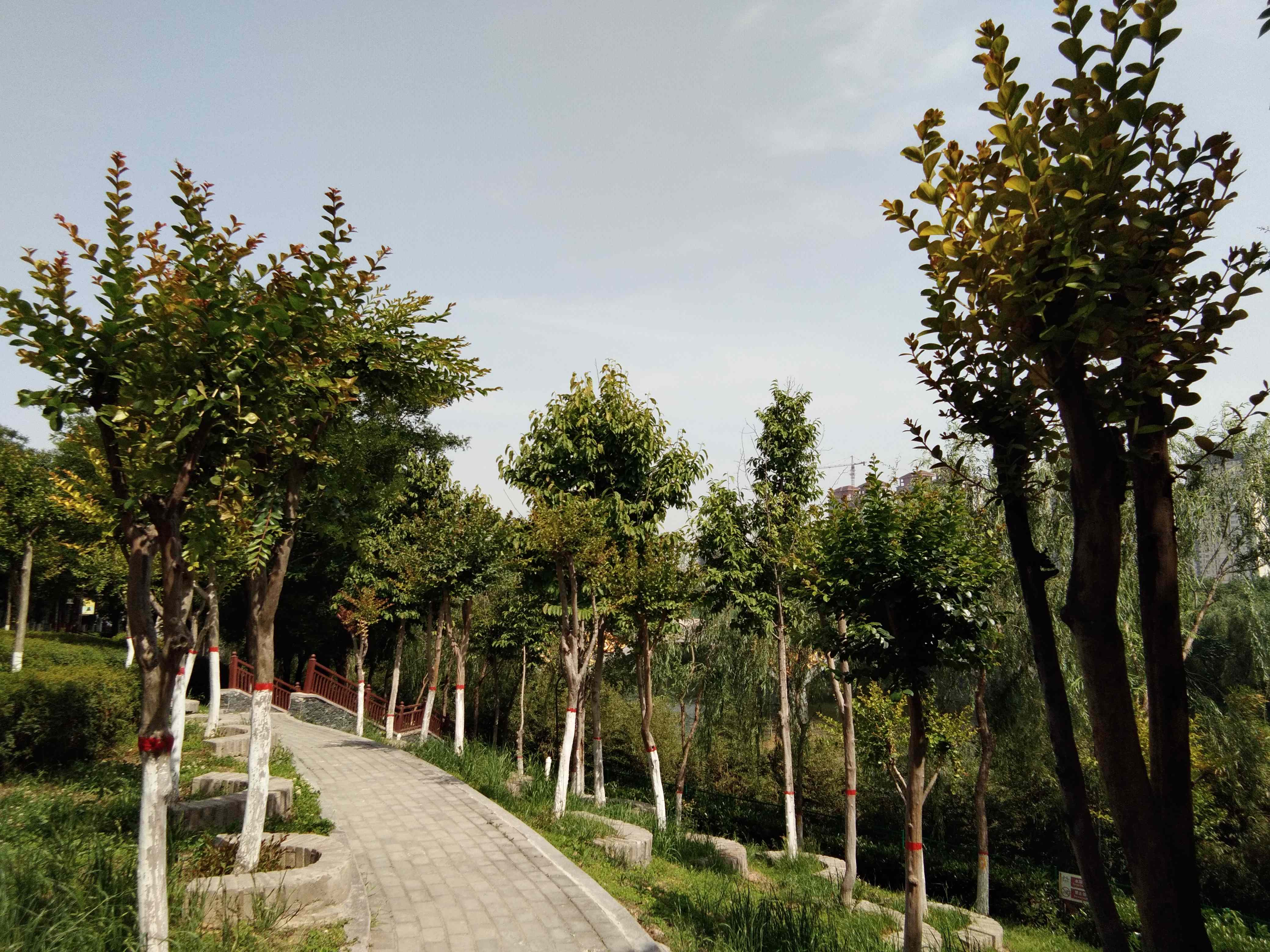 脚踏汉城湖公园全程!感受汉武辉煌!