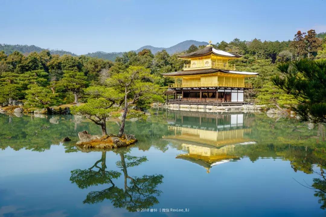 无反是微单吗,微单无反是什么意思