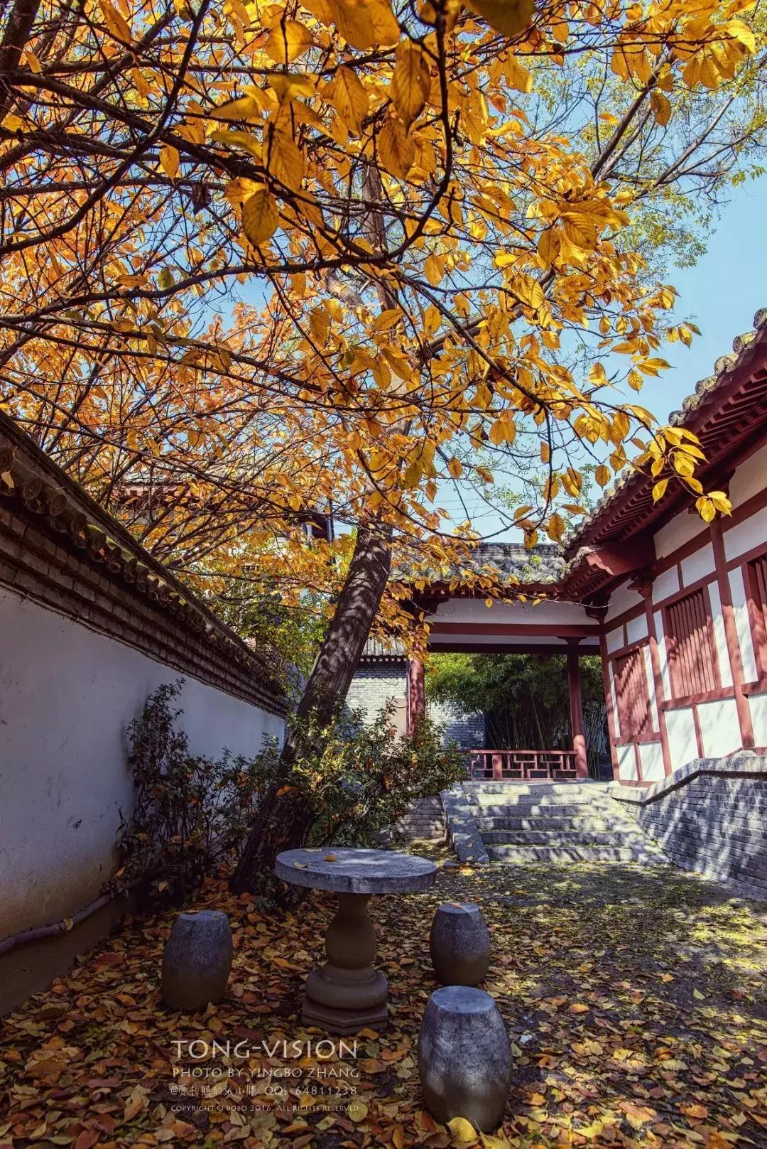 妖猫传电影中最美的片段,电影妖猫传长安的图片