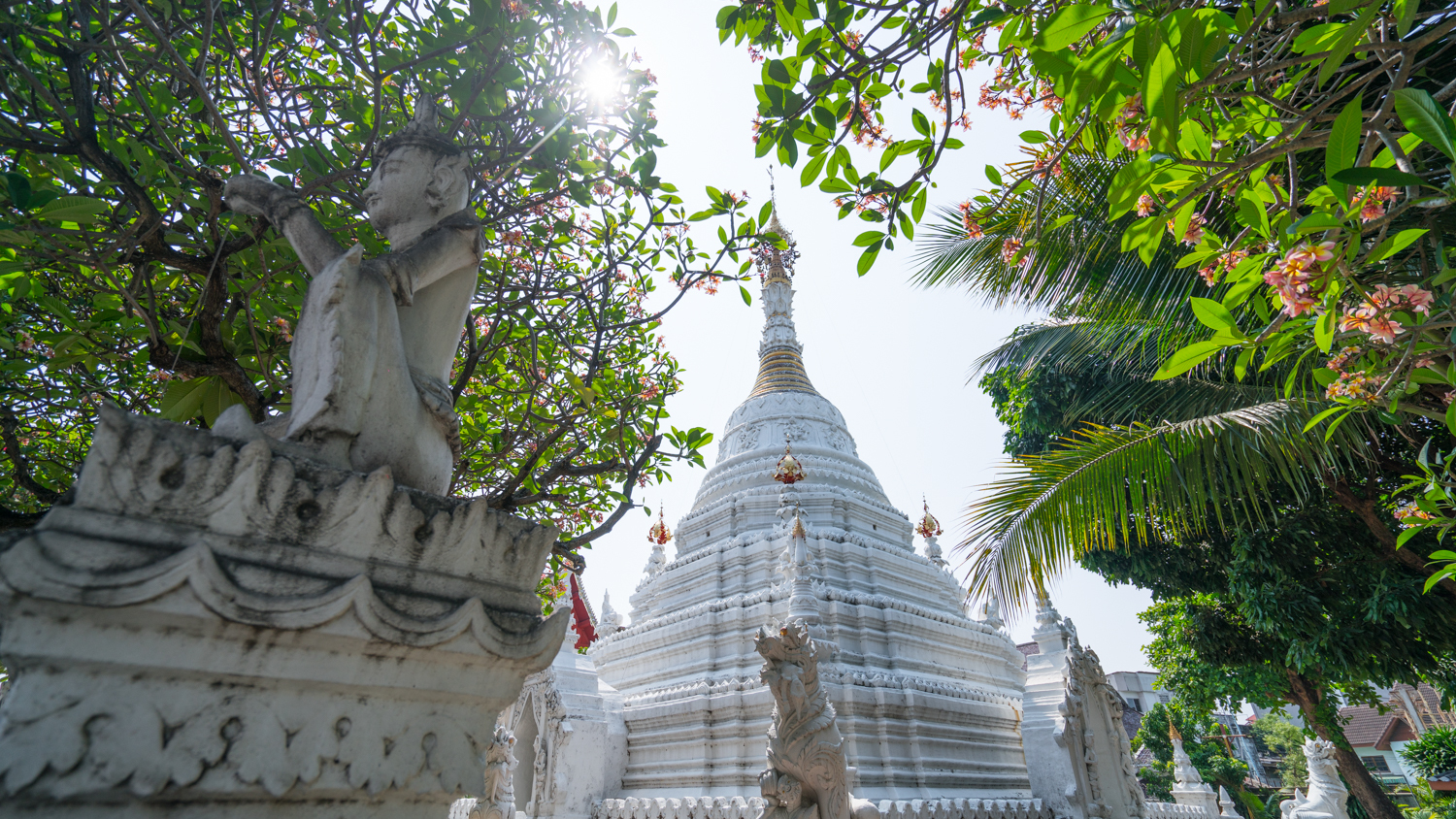 泰国旅游曼谷清迈攻略,泰国清迈的旅游攻略