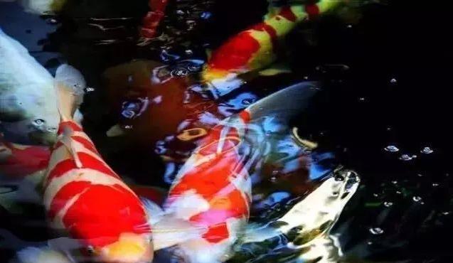 点点滴滴积累知识,点点滴滴积累经验