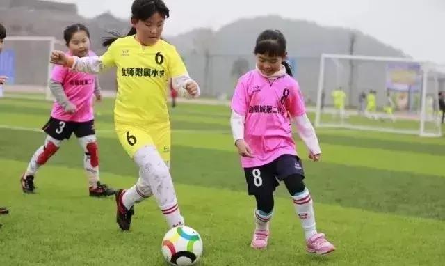 寮哄仴浣撻瓌纾ㄧ牶鎰忓織,鍋ュ己浣撻瓌绛戞ⅵ鍓嶈娲诲姩鎬荤粨